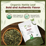 Stinging Nettle Leaf Cut & Sifted (Urtica dioica) Herbal Tea - European Wild-Harvest | Kosher Certified | Vegan, Non GMO & Gluten Free | USDA Certified | Origin - Albania