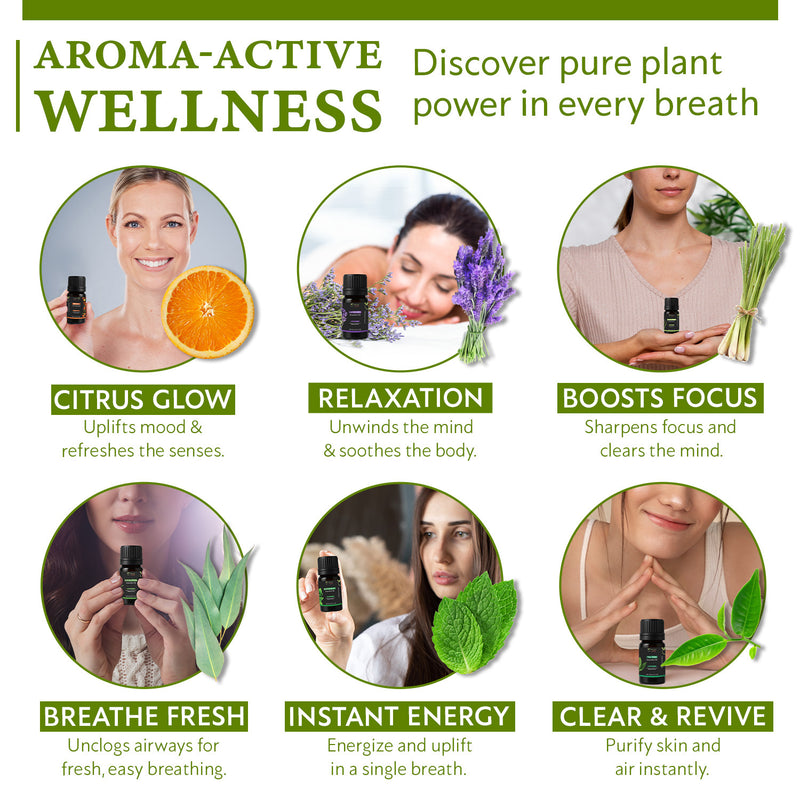 100% Pure Essential Oil Gift Set of 6 | Premium Aromatic Oils | Orange, Lavender, Lemongrass, Eucalyptus, Peppermint, Tea Tree | Origin India (10ml each)
