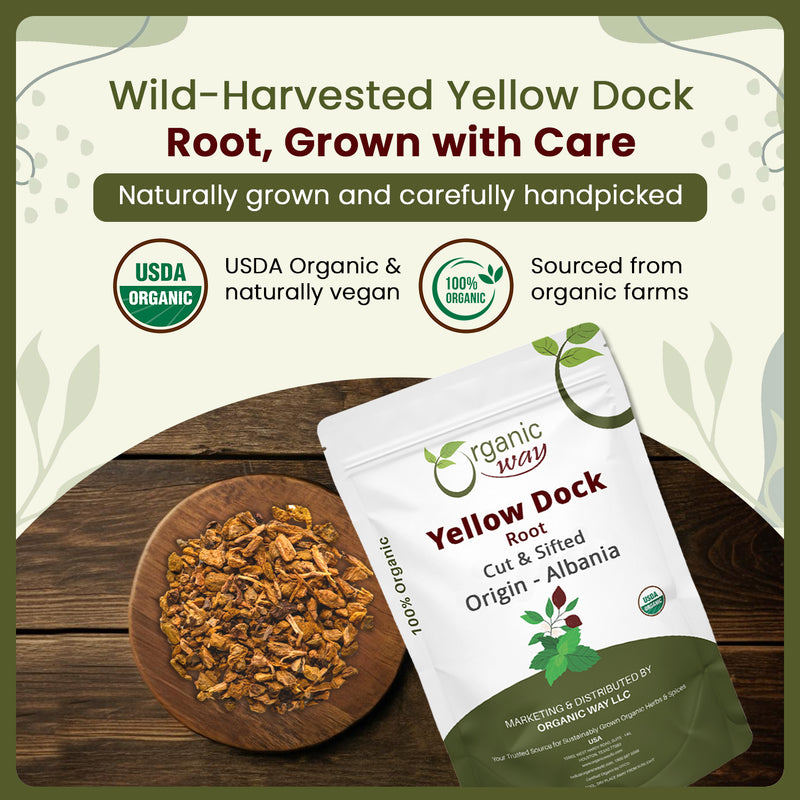 Yellow Dock Root Cut & Sifted (Rumex crispus) Herbal Tea - European Wild-Harvest | Kosher Certified | Vegan, Non GMO & Gluten Free | USDA Certified | Origin - Albania