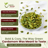 Green Cardamom Whole Pods, Hari Elaichi (Elettaria cardamomum) - Kosher & USDA Certified | Vegan, Non-GMO & Gluten Free | Resealable Bag | Adds Flavour | 100% Raw from India