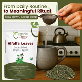 Organic Way Alfalfa Leaves Cut & Sifted - Herbal Tea - Origin Egypt