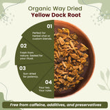 Yellow Dock Root Cut & Sifted (Rumex crispus) Herbal Tea - European Wild-Harvest | Kosher Certified | Vegan, Non GMO & Gluten Free | USDA Certified | Origin - Albania