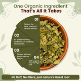 Moringa Leaf Cut and Sifted (Moringa Oleifera) - Herbal Tea - Immune and Energy Booster | Kosher Certified | Vegan | Non GMO & Gluten Free | USDA Certified | Origin - India