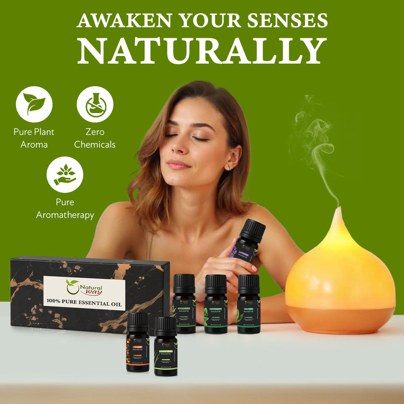 100% Pure Essential Oil Gift Set of 6 | Premium Aromatic Oils | Orange, Lavender, Lemongrass, Eucalyptus, Peppermint, Tea Tree | Origin India (10ml each)