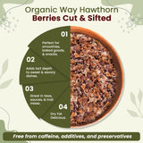 Hawthorn Berries Cut & Sifted (Crataegus monogyna) - European Wild-Harvest | Kosher Certified | Vegan, Non GMO & Gluten Free | USDA Certified | Origin - Albania