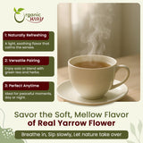 Yarrow Flower Cut & Sifted (Achillea millefolium) - Herbal Tea | European Wild-Harvest | Kosher & USDA Certified | Vegan, Non-GMO & Gluten Free | 100% Raw from Albania