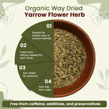 Yarrow Flower Cut & Sifted (Achillea millefolium) - Herbal Tea | European Wild-Harvest | Kosher & USDA Certified | Vegan, Non-GMO & Gluten Free | 100% Raw from Albania