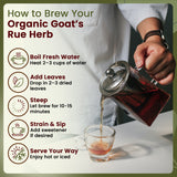 Goat’s Rue Herb Cut & Sifted - Herbal Tea | European Wild-Harvest | Kosher & USDA Certified | Vegan, Non-GMO & Gluten Free | 100% Raw from Albania