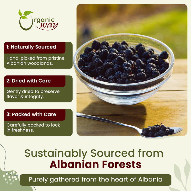 Organic Chokeberries Fruit (Whole)