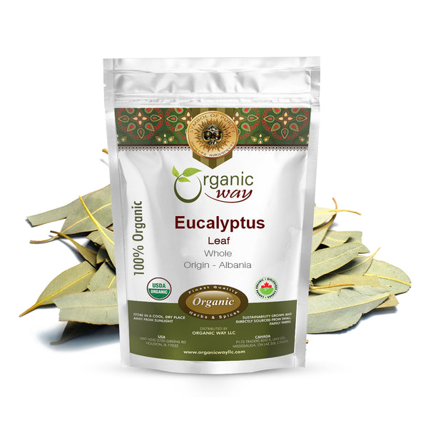 Eucalyptus Leaf Whole