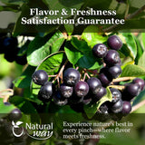 Natural Chokeberries Fruit Whole