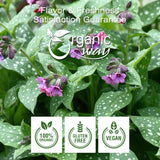 Lungwort Herb Powder