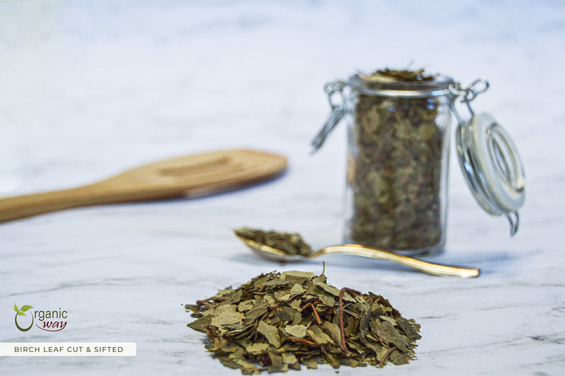 Birch Leaf (Cut & Sifted), European Wild Harvest