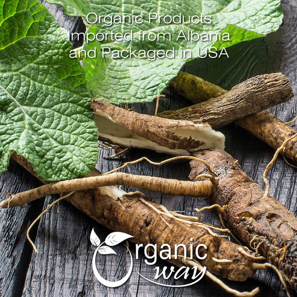 Burdock Root (Cut & Sifted), European Wild Harvest