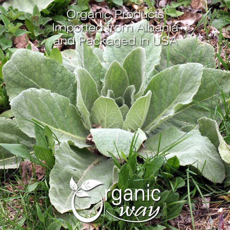 Mullein Leaf Powder