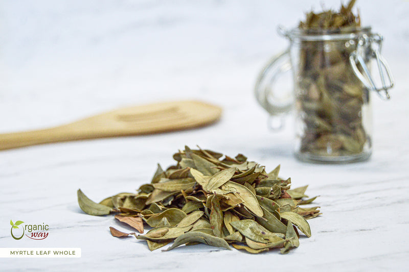 Myrtle Leaf (Whole), European Wild Harvest