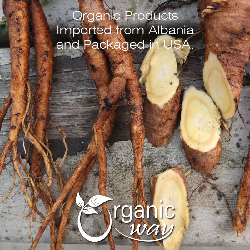 Yellow Dock Root (Cut & Sifted), European Wild Harvest